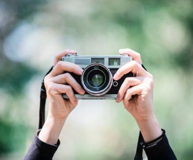Illustration pour l'actualité Concours photo : la végétalisation dans les espaces publics pessacais