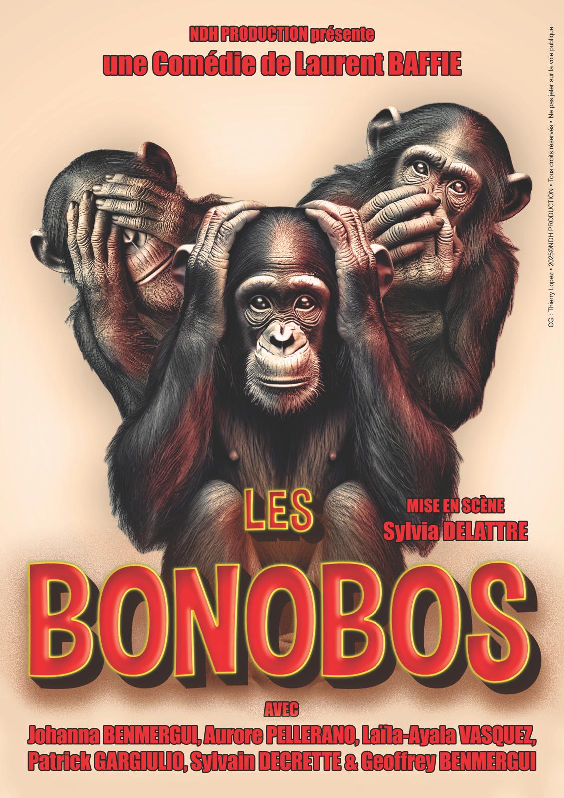 Actualité : Les Bonobos