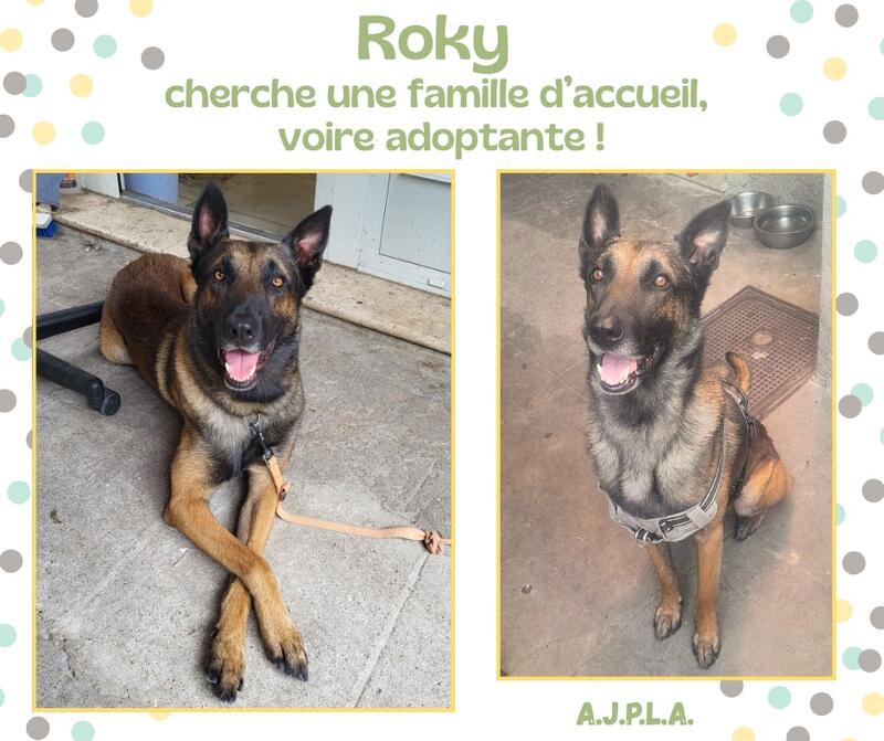 Illustration pour l'actualité Je m’appelle Roky, j'ai 5 ans !
