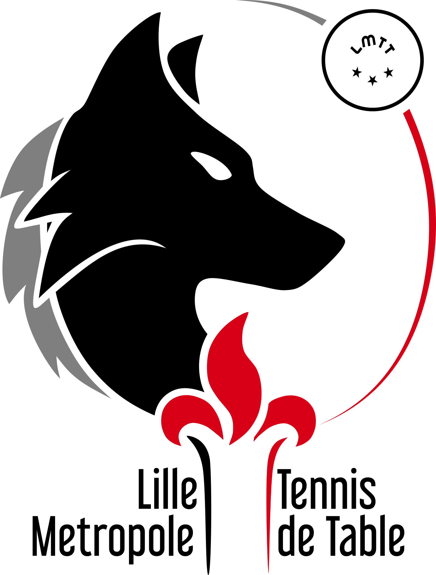 Association Lille métropole tennis de table