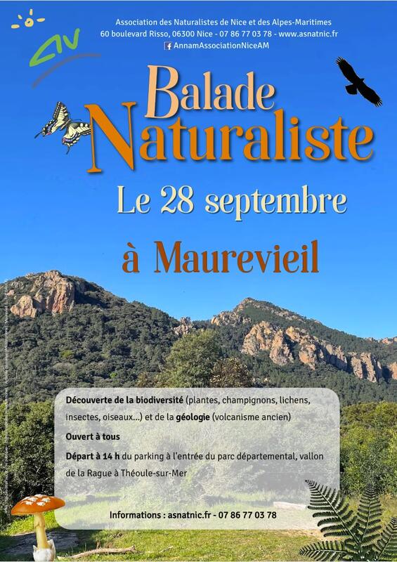 Illustration pour l’événement Balade naturaliste pour tous