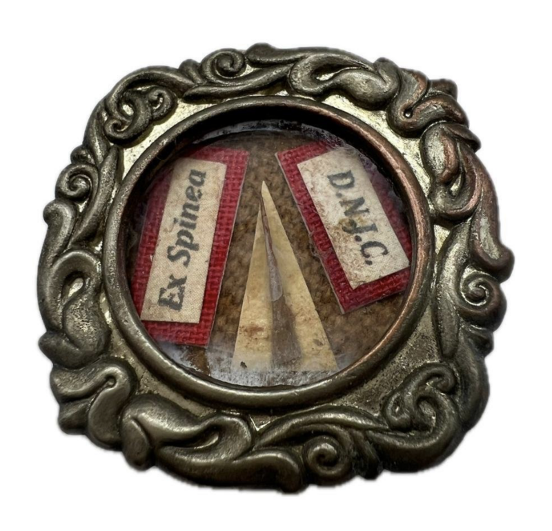 Illustration pour l’événement Conf : La paléopathologie