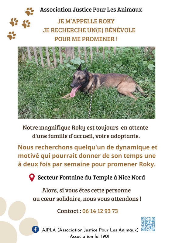 Illustration pour la mission Promenades Roky