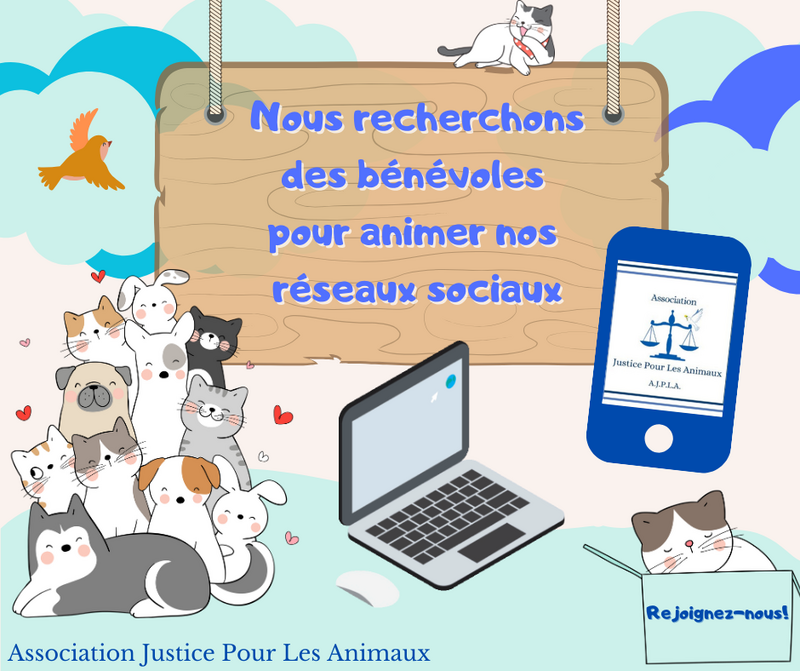 Illustration pour la mission Besoin d'aide 𝐬𝐮𝐫 𝐥𝐞𝐬 𝐫𝐞́𝐬𝐞𝐚𝐮𝐱 𝐬𝐨𝐜𝐢𝐚𝐮𝐱 !